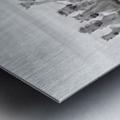 Illusion of power (13 horse power though) Metal print