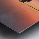 The last... Light Metal print