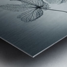 Ephemeral Beauty Metal print
