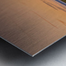 Orangine Metal print