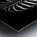 Untitled Metal print