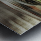 Panning Havana Metal print