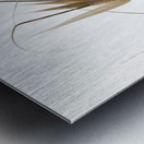 Delicacy of nature Metal print