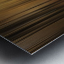 Path to unknown Metal print