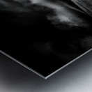 marram grass Metal print