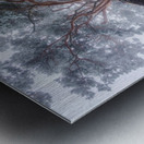 Winter tree lines Metal print