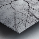 A view of the tree crown Impression metal