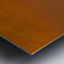 At The Sunset Metal print