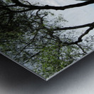 Landscape1 Metal print