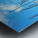 Everglades2 Metal print