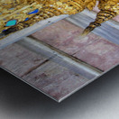 Thailand29 Metal print