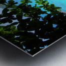 Tropical13 Metal print