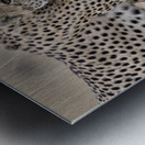 Cheetah Bro Metal print