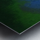 IMG_0105 Metal print