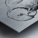 Parakeet bird Metal print