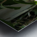 hibiscus Metal print
