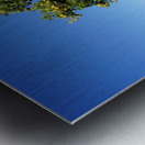 Montjuïc Orange Tree Metal print