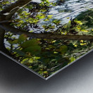 Montjuïc Garden Metal print