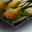 Montjuïc Flowers Metal print