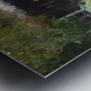 Thatch Roof Gazebo Rancho Los Alamitos Gardens Metal print