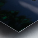 City view through the branches Metal print