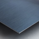 Frozen statue of The Little Mermaid Metal print