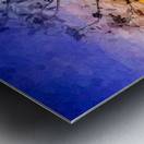 Sunrise Silhouette  Metal print