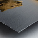 Small Step for Lionkind Metal print