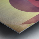 Middle Ground Metal print