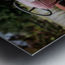 Rusty Old Tractor  Metal print