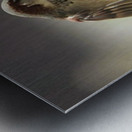 JPT 5591SA Impression metal