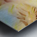 Sweet & Sour  Metal print