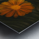 sun flower beauty Metal print