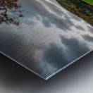Serene Valley Metal print