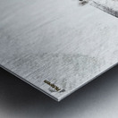 Playful white lion cubs Metal print