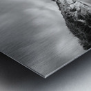 Entranced Metal print