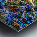 There is a magic in universe Snowdrop Metal print