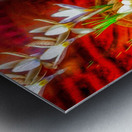 There is a magic in Snowdrop Metal print