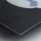 Francesco Metal print