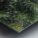 Nature’s Own Metal print