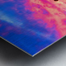 20190212 IMG_3237 Metal print