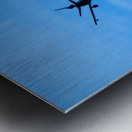 20190228 IMG_3580 Metal print