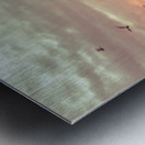 20190212 IMG_3260 Metal print