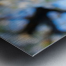 20190329 DSC_0302 Metal print