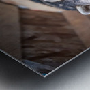 Raton ambassadeur Metal print