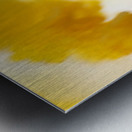 IMG_4012 Metal print