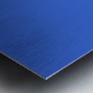 T6 Texan Metal print