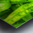 Fragile  Metal print