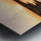 IMG_6296 Metal print