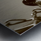 Black Bird  Metal print